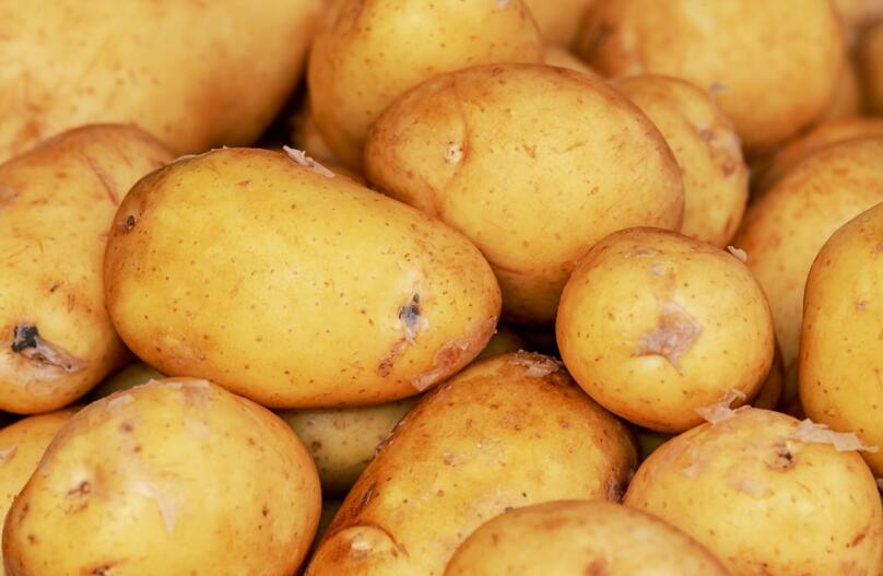 蚂蚁庄园:猜一猜:以下哪种粮食是明朝时从美洲传入我国的?