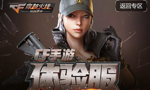穿越火线体验服问卷答案11月