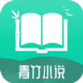 青竹小说app
