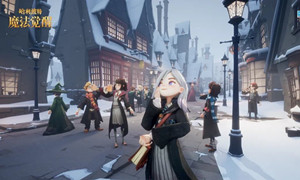 哈利波特魔法觉醒金卡兑换码