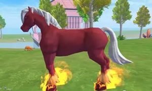 创造与魔法红马饲料制作方法