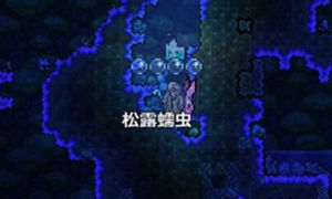 泰拉瑞亚松露虫抓取方法