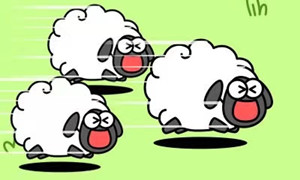 羊了个羊加入羊群方法