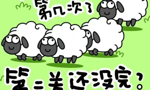 羊了个羊关卡数量介绍