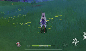 原神手鞠游戏白狐之野位置介绍