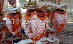 蚂蚁庄园：通常来说冬天买的柿饼白霜更多这是因为