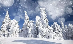 蚂蚁庄园:俗话说大雪不冻惊蛰不开大雪节气不上冻明年可能会出现
