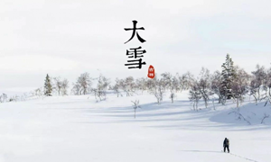 蚂蚁庄园:大雪节气到啦冬天下的鹅毛大雪其实是