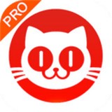 猫眼专业版app下载安装最新版