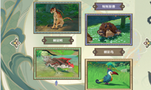 原神雨林生灵拍摄攻略