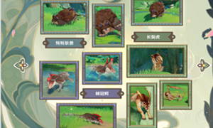 原神动物行为拍摄攻略