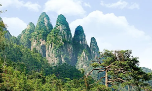 蚂蚁庄园:旅游名山五指山位于我国哪个省