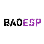 baoesp2.1.1卡密
