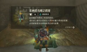 塞尔达传说王国之泪左纳尼乌姆之前挂获得方法