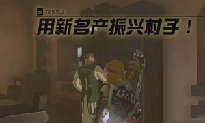 塞尔达传说王国之泪用新名产振兴村子任务完成方法