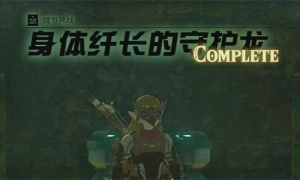 塞尔达传说王国之泪身体纤长的守护龙任务完成步骤