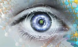 蚂蚁庄园：正常情况下人类所感知的外界信息中80%来自