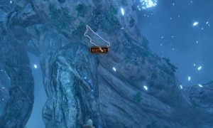 博德之门3轻语树皮获得方法