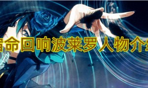 宿命回响波莱罗人物介绍