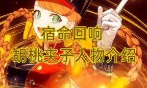 宿命回响胡桃夹子人物介绍