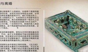 刺客信条幻景婚姻与离婚怎么获得