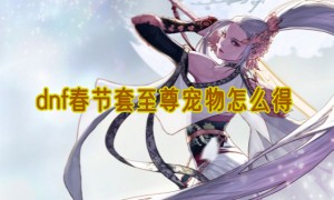 dnf春节套至尊宠物怎么得