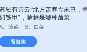 蚂蚁庄园:滴苏轼有诗云北方苦寒今未已雪底波棱如铁甲猜猜是哪种蔬菜