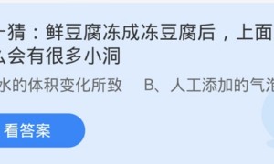 蚂蚁庄园:鲜豆腐冻成冻豆腐后上面为什么会有很多小洞