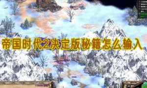 帝国时代2决定版秘籍怎么输入