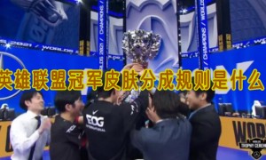 英雄联盟冠军皮肤分成规则是什么