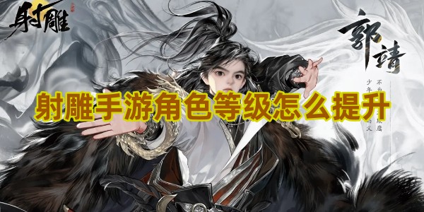 射雕手游角色等级怎么提升
