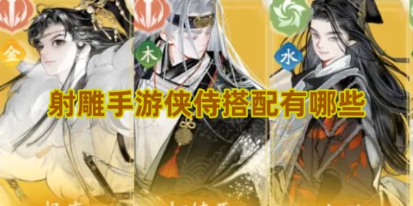 射雕手游侠侍搭配有哪些